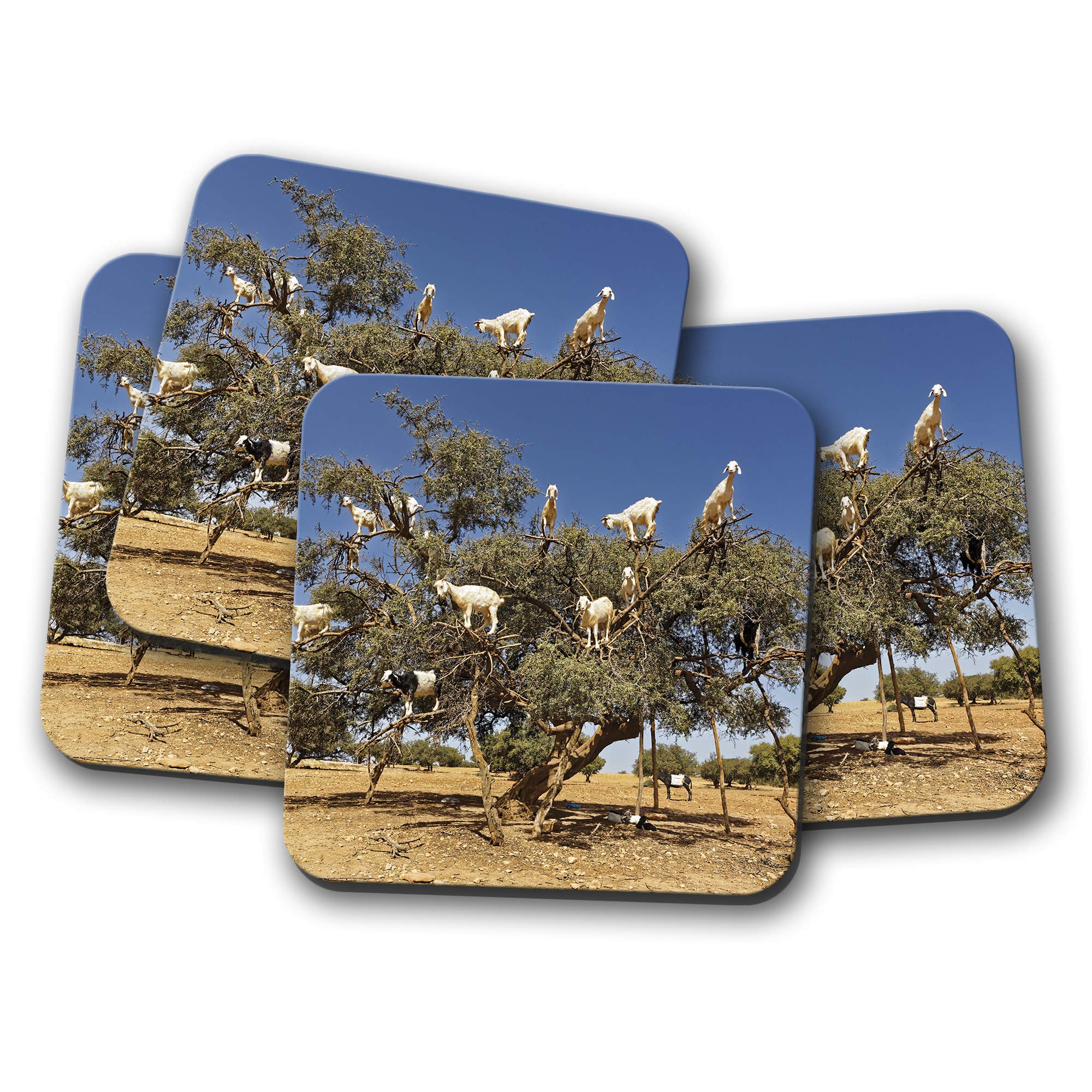 4 Set - Funny Tree Goats Coaster - Goat Morocco Animal Kids Mum #8667