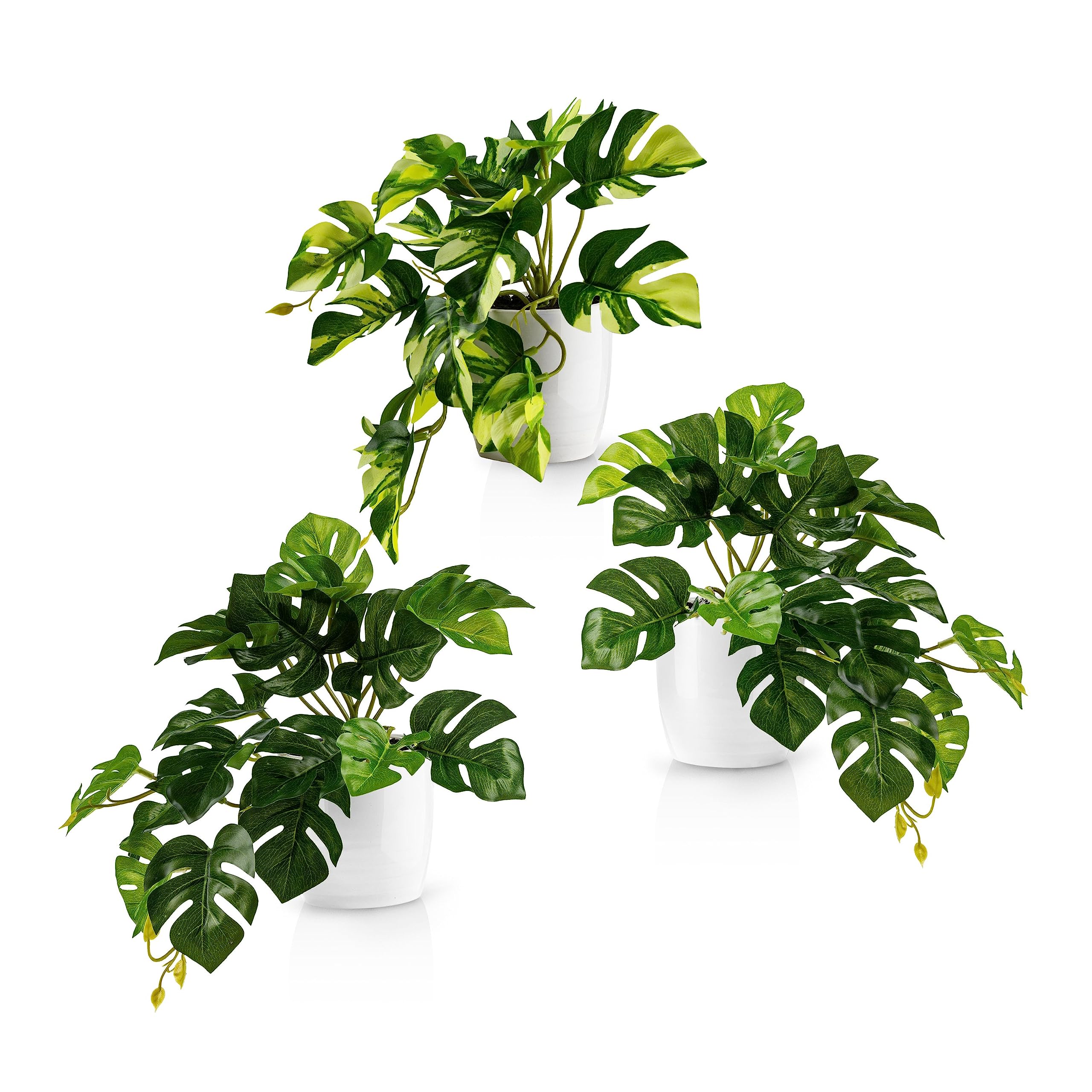 PASCH Zestaw 3 sztucznych monstery (20 cm) w białych doniczkach ceramicznych: sztuczne rośliny jak prawdziwe | sztuczna roślina monstera | sztuczna roślina wisząca w doniczce | roślina wisząca