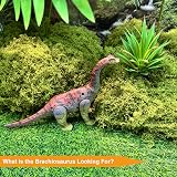 EKU Dinosaur Toys Wing Flapping Pterodactyl Toy Eudimorphodon – Recommended for kids three and up