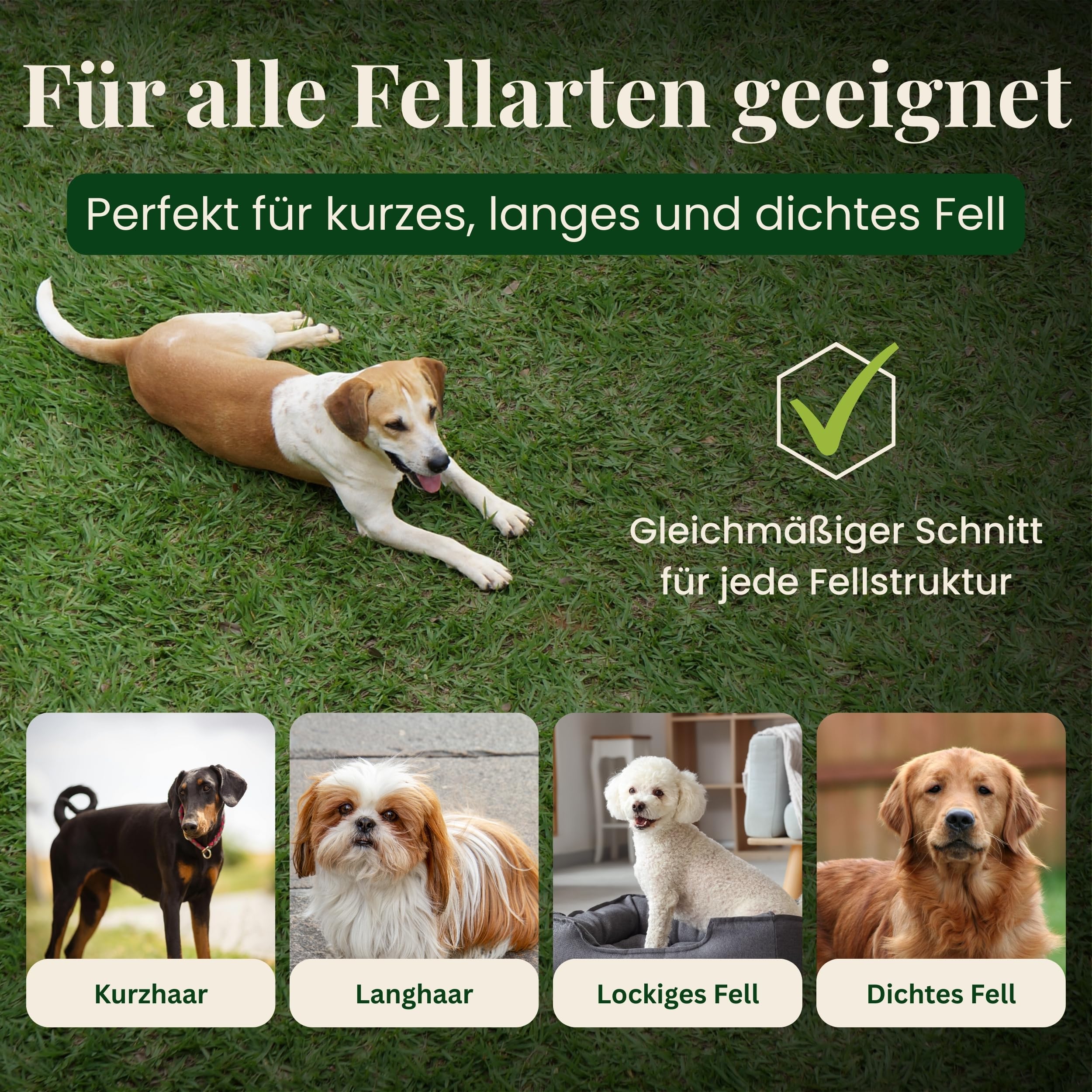 Alpenstern® Hundeschermaschine für dickes dichtes Fell - leise Profi Schermaschine für Hunde Fellpflege - Hundetrimmer Hunde-Haarschneidemaschine Hunderasierer Tierhaarschneider - 5