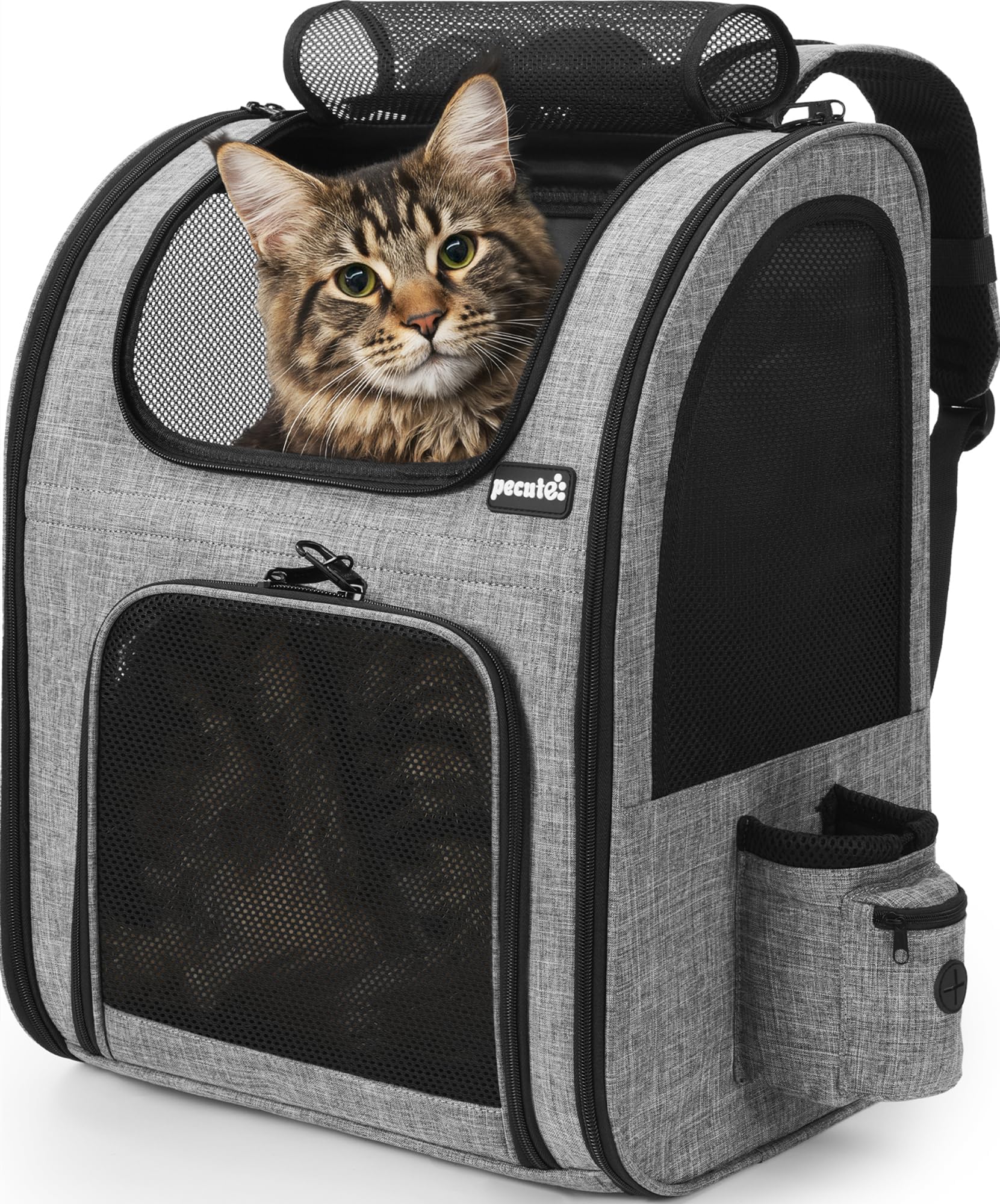 Cat Carrier Dog Backpack, Portable Breathable Rucksack with Front Opening-Mesh Window-Pockets, Airy Space Great For Carrying Dogs Large