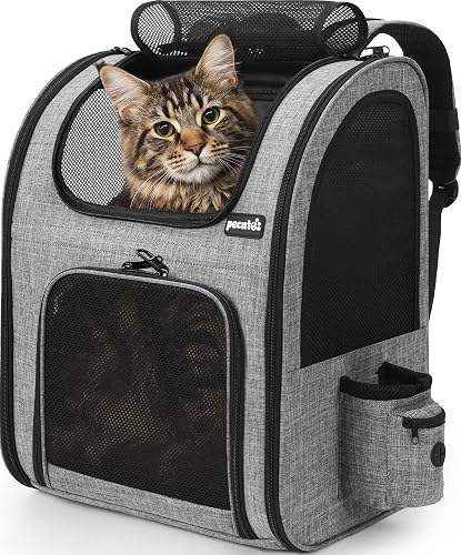 pecute Haustier Rucksack mit Netzfenster XL für 6-10 kg, Tragbare und Faltbare Katzentasche, Atmungsaktive und Leichte Hundetasche, Wasserdichtes Oxford-Tuch mit Viel Platz, Multifunktionales Grau | Großer Katzenrucksack für große Katzen geeignet. Faltbar, stabil & sicher. Für Hunde & Katzen bis 10kg. - Grau - Klassisch Mesh (XL)