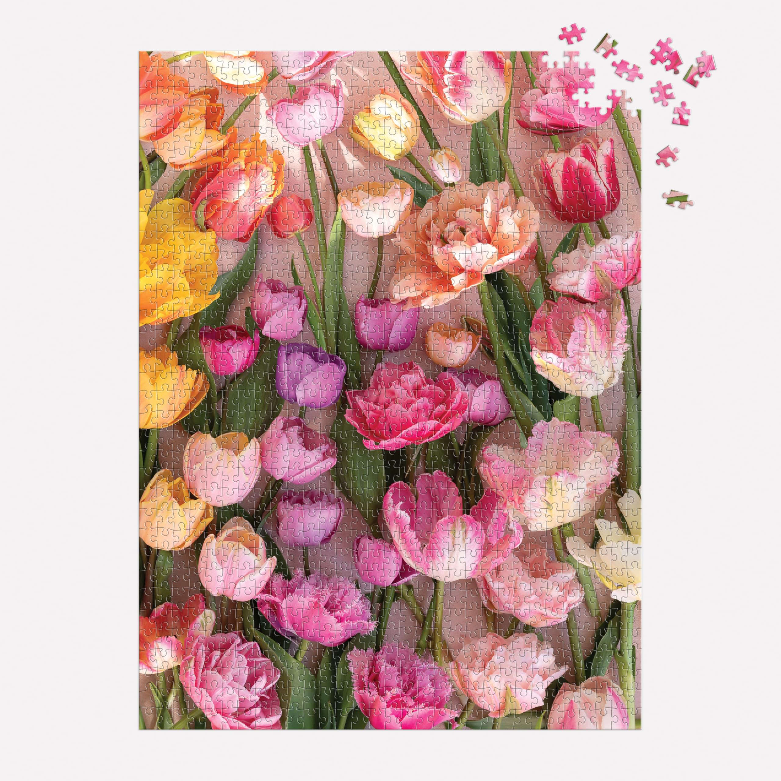 Amazon.com: Galison Ephemeral Tulips– 1000 Piece Jigsaw Puzzle
