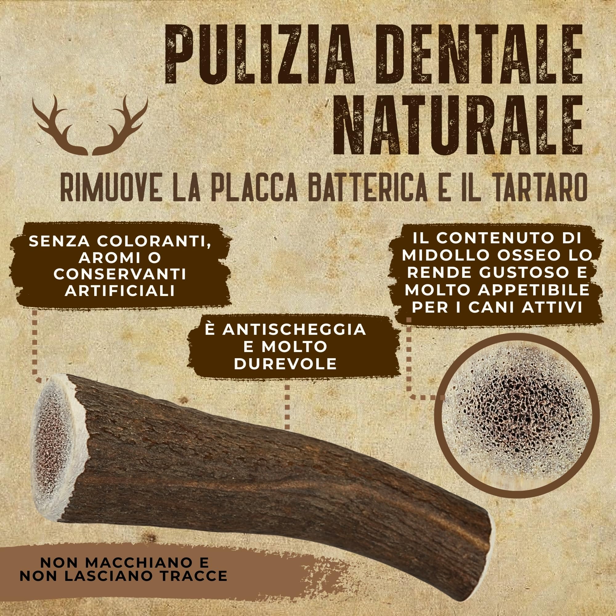 Corno di Cervo Naturale per Cani | Masticatore Dentale Duraturo | Origine Naturale, Senza Additivi | Kira&Gara® (XL - 200-240g, Pack de 1)