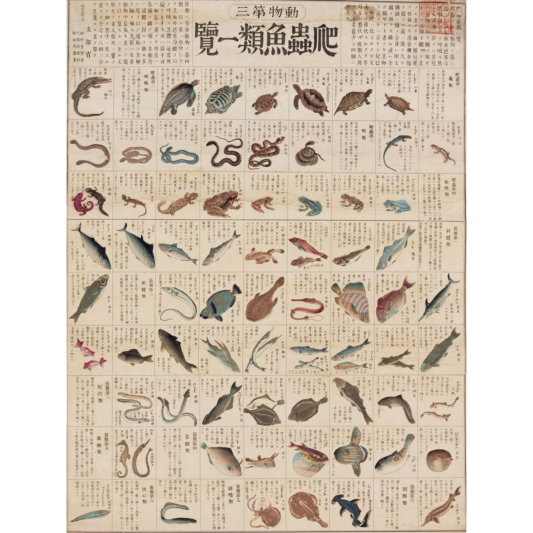 Artery8 Kato Chikusai Species of Fish Reptiles Japanese Premium Wall Art Canvas Print 18X24 Inch