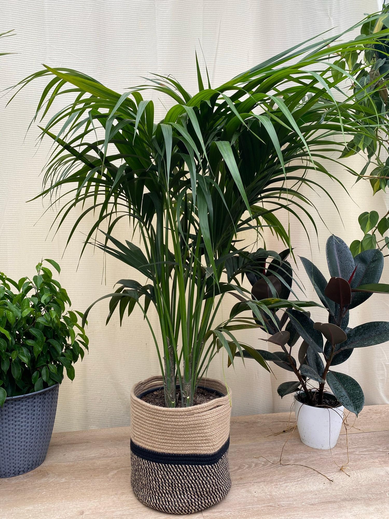 plant stand indoor VECELO 5-Pack Metal Plant Stands for Indoor Plants main image 0