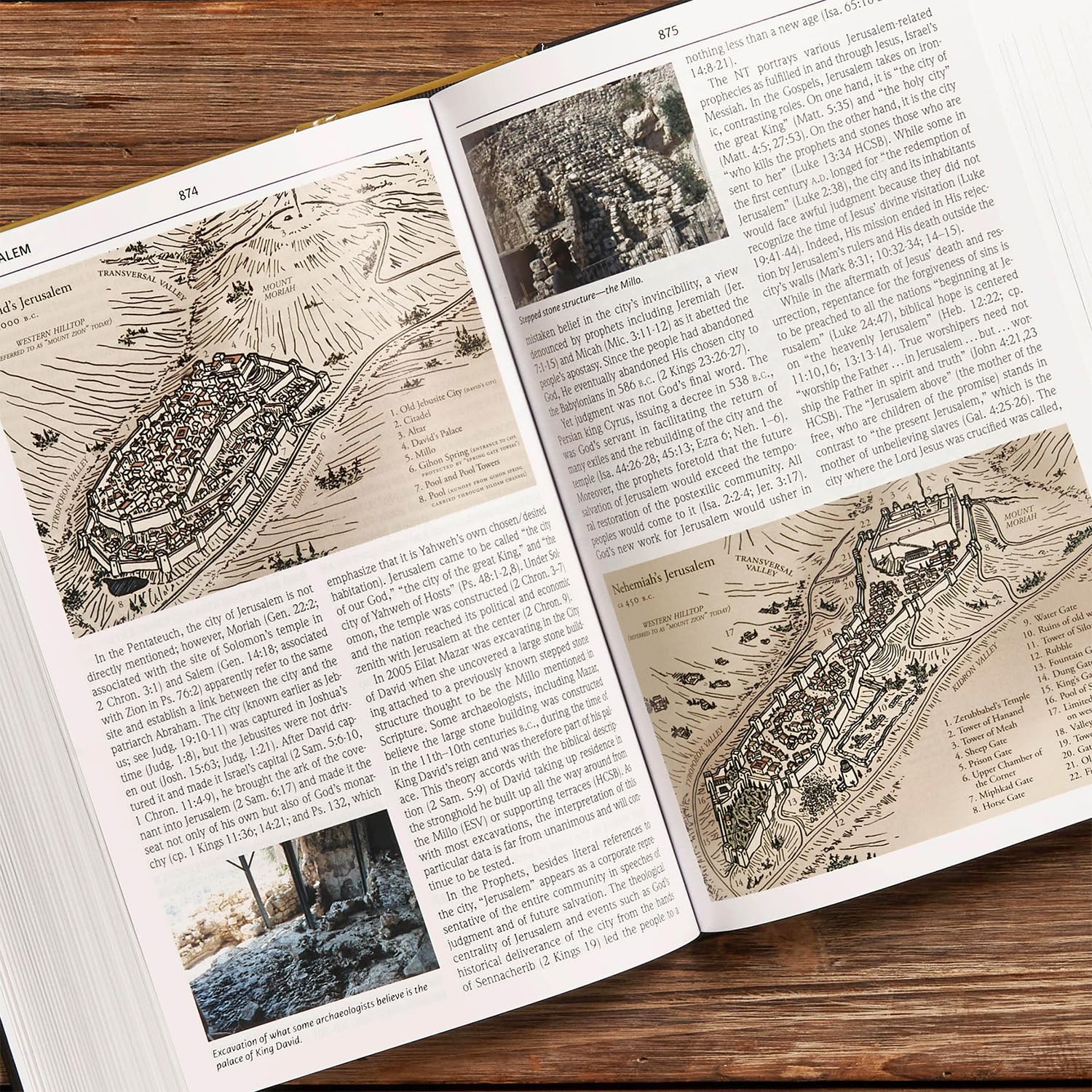 Holman Illustrated Bible Dictionary - Image 3