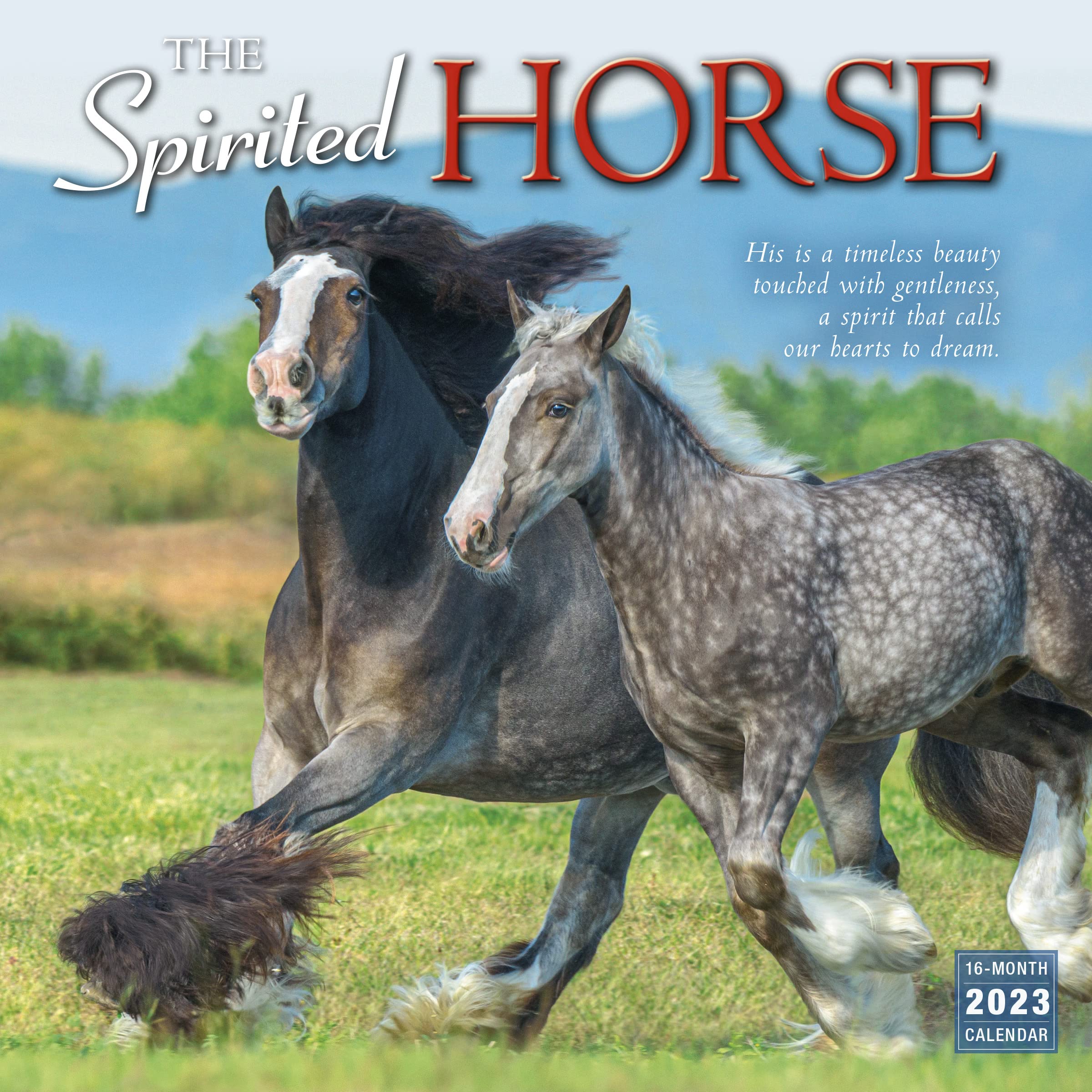 The Spirited Horse 2023 Wall Calendar, 16-Month Animal Calendar, 12" x 12"