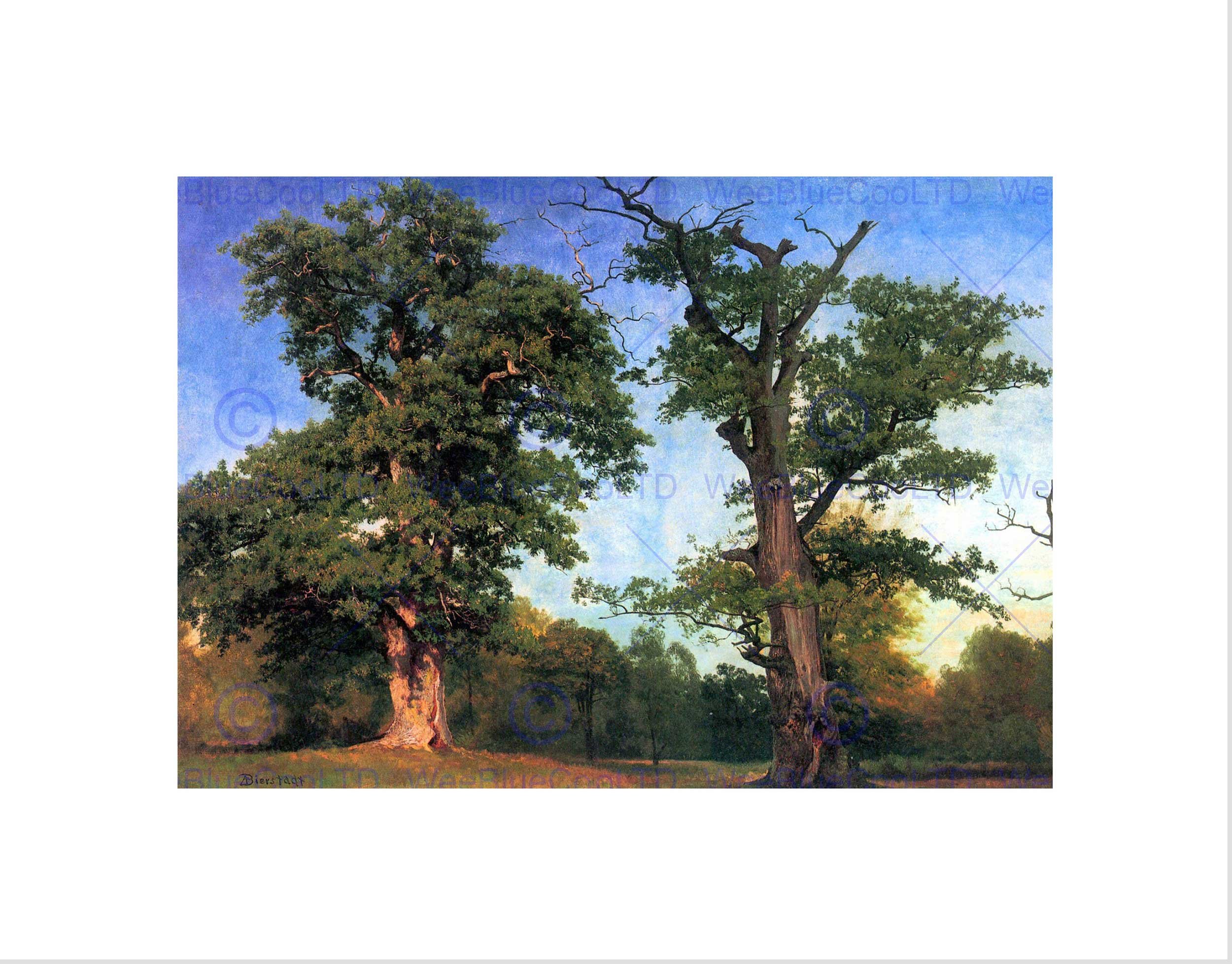 Wee Blue Coo Albert Bierstadt The Pioneers Of Forests Old Master Wall Art Print