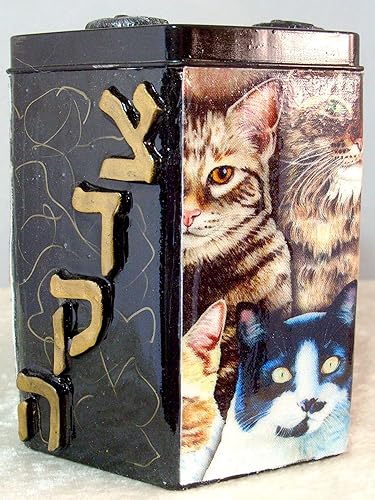 Miniatura 7 de Decorative Tzedakah Box - Los Gatos