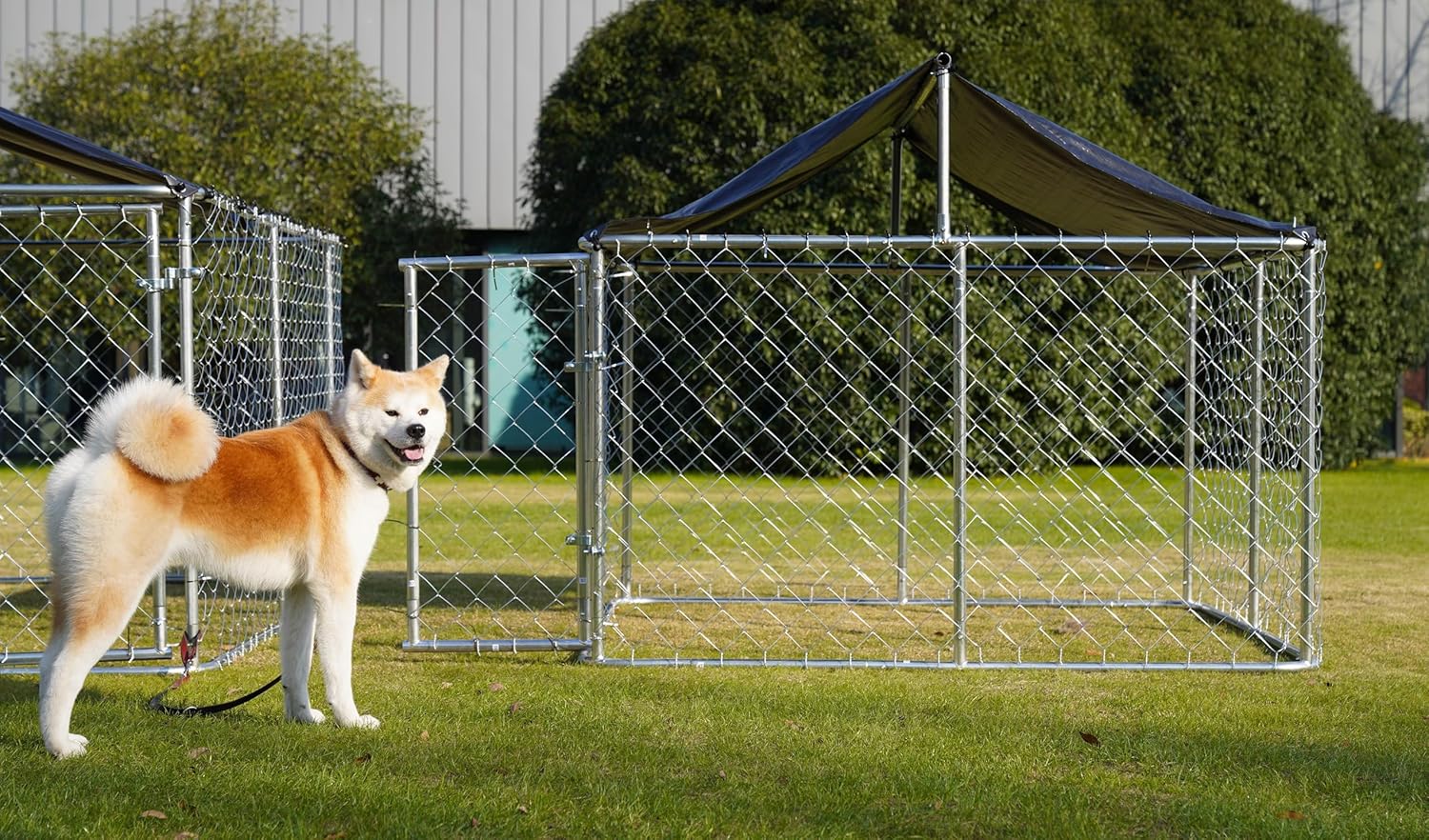 Ultimate Review: Heavy Duty 80"x80" Outdoor Dog Enclosure for Safety and Comfort