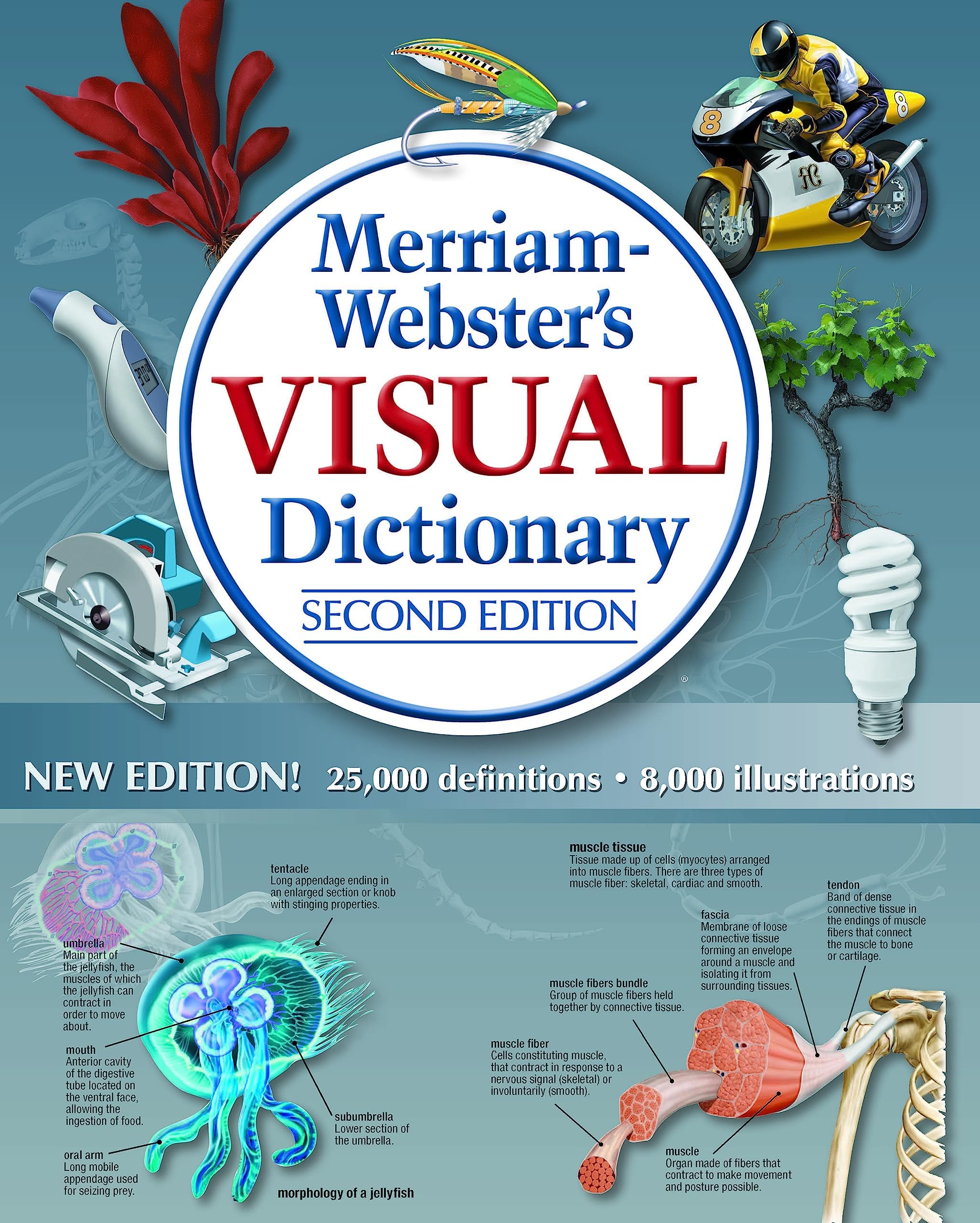 Merriam-Webster's Visual Dictionary: Second Edition