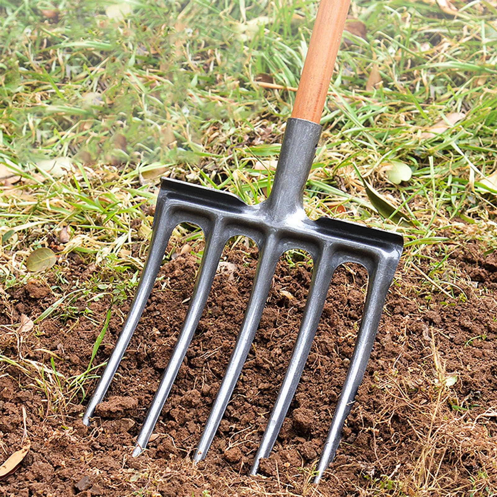 Forca da scavo Forca da giardino Attrezzo da giardino in acciaio al carbonio Forca da scavo Attrezzatura da giardinaggio pratica (5 Denti)