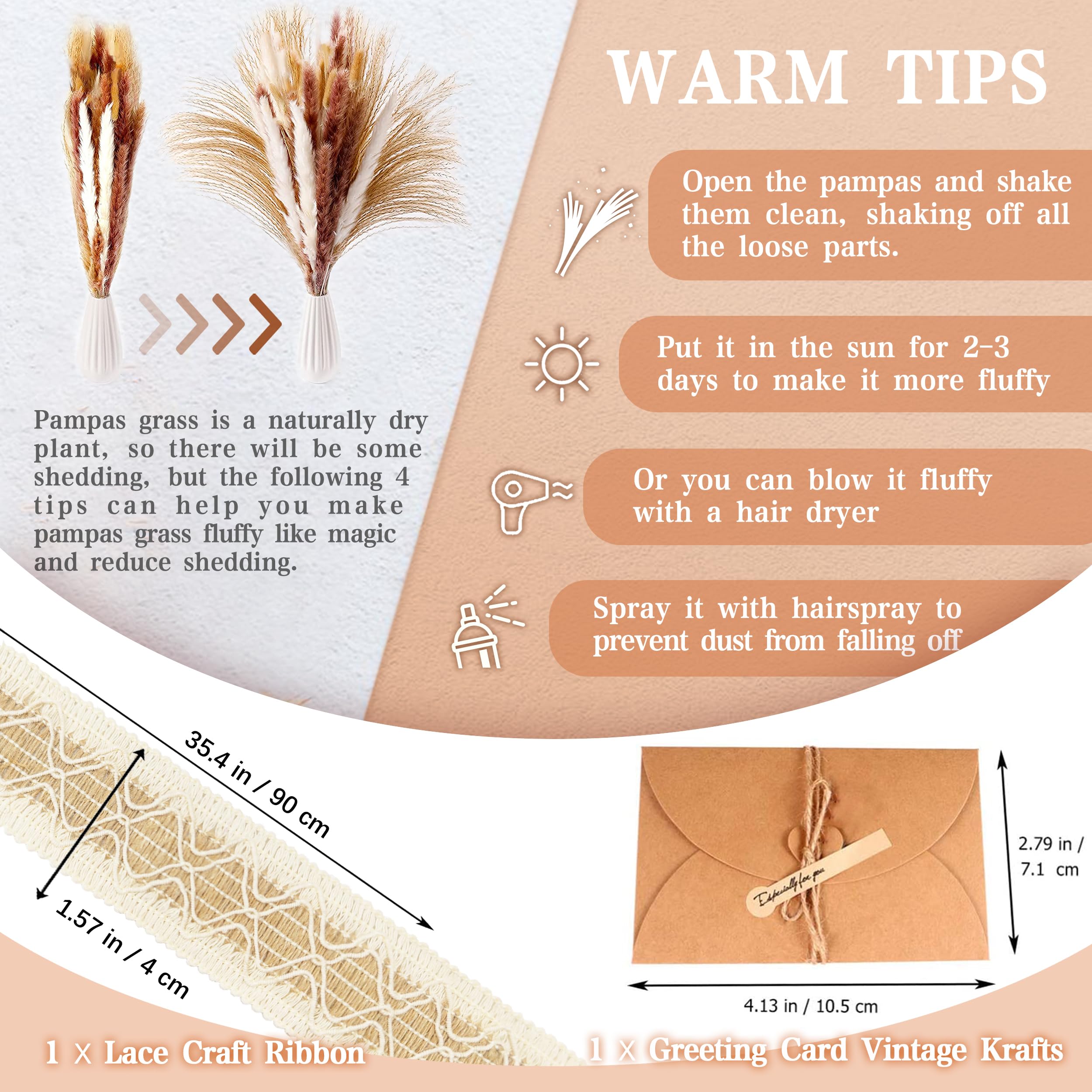ZJTAPE Pampas Grass Dried, Natural Dried Flowers Decoration, Fluffy Dried Flowers Dried Flowers - Image 3