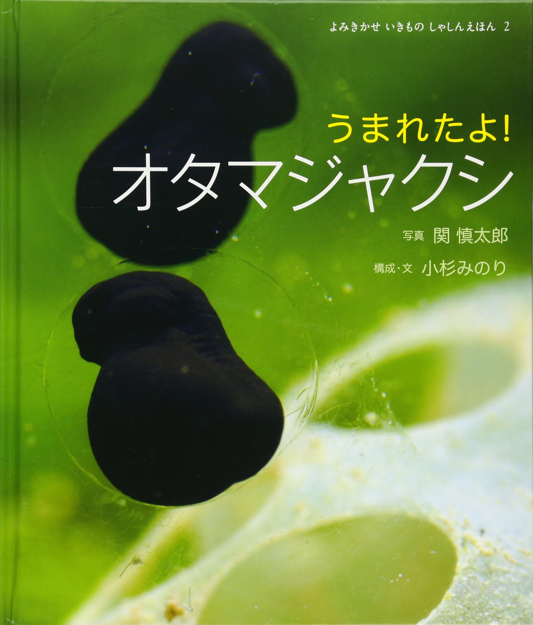 Amazon.co.jp: うまれたよ! オタマジャクシ (よみきかせ いきもの