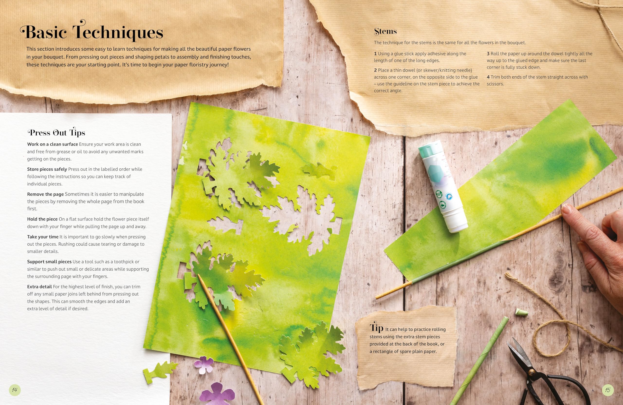 The Bouquet in a Book: Pre-punched pages to press out and make paper flowers: 1