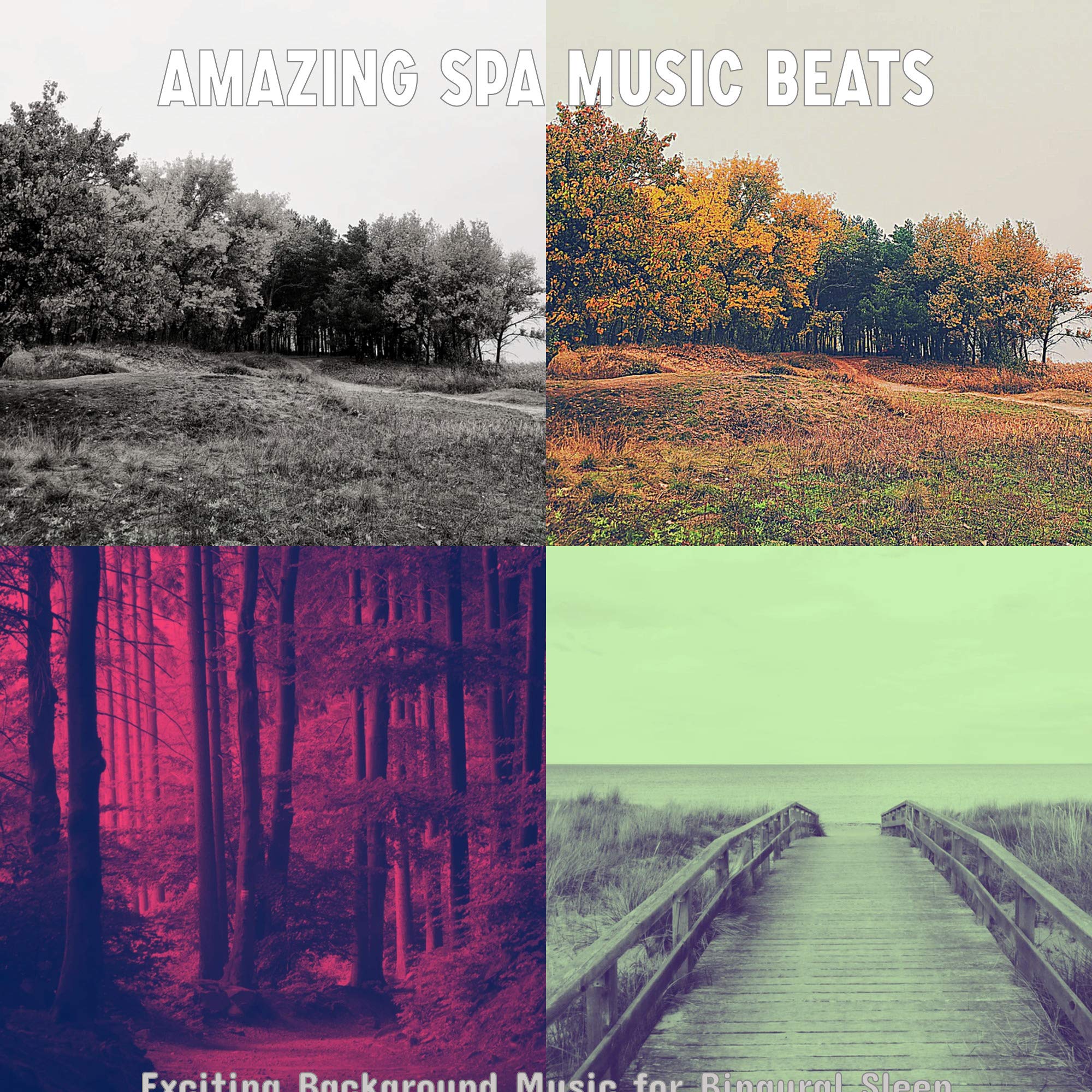 Amazing Spa Music Beats