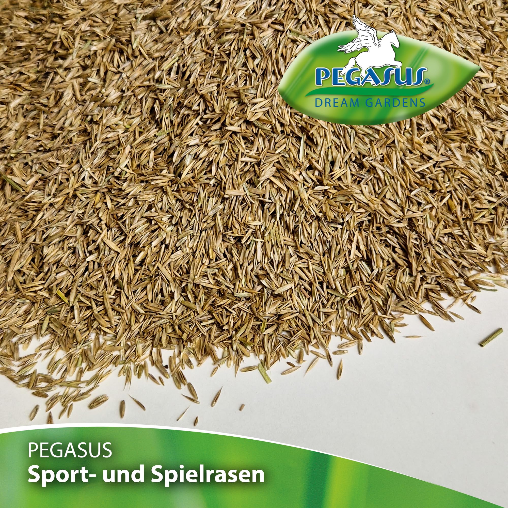 Kiepenkerl Pegasus 622395 - Sementi per prato, per sport e gioco, 10 kg