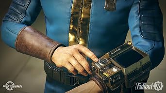 Fallout 76 (PS4)