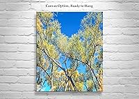 Vista 2 de San Pedro River Arizona Cottonwood Tree Autumn Forest Nature Print