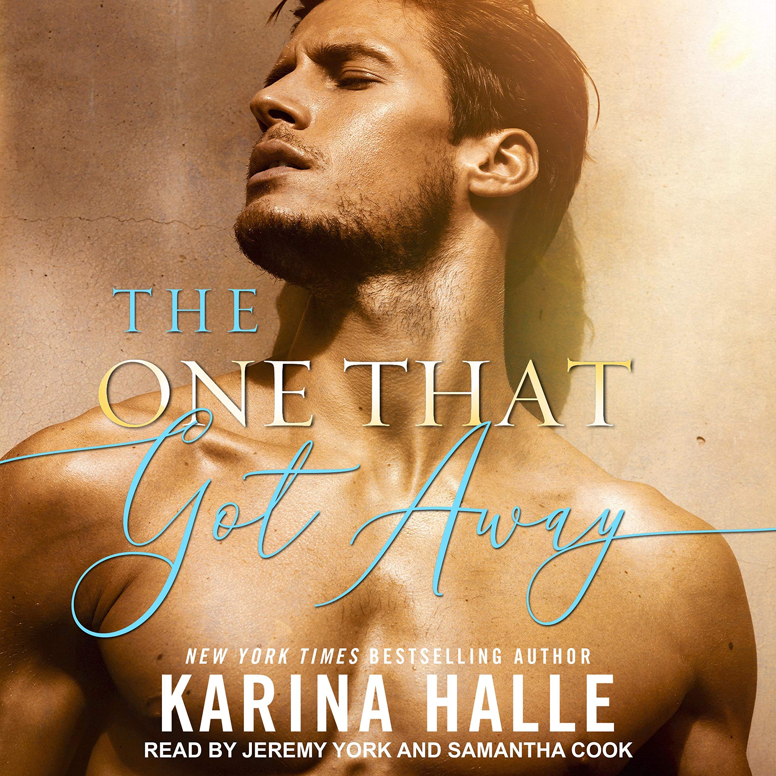 Cover art for The One That Got Away