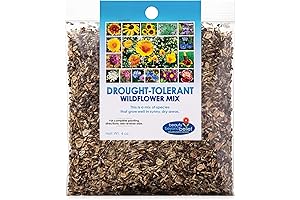 4oz Wildflower Seed Mix Bulk: Drought Tolerant Open-Pollinated Bulk Flower Seeds
