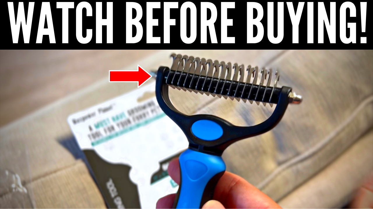 Watch Start Here! Maxpower Planet Pet Grooming Brush Review on