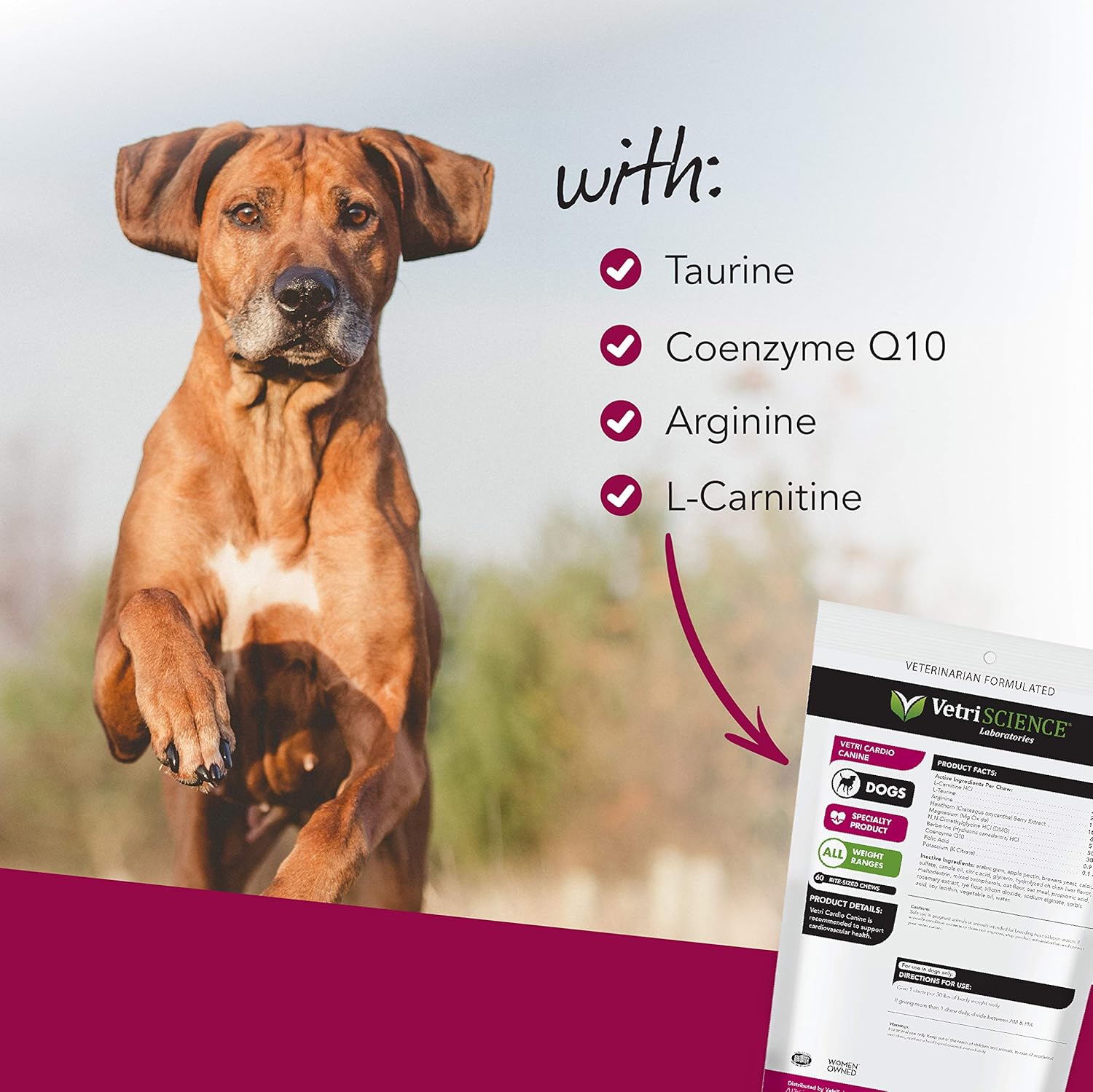 vetriscience cardio chews