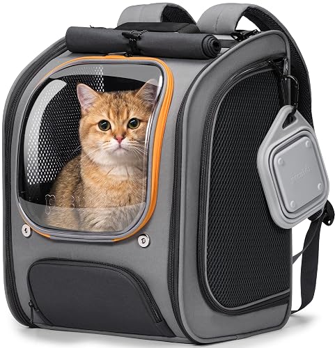 Pecute Cat Bubble Backpack Carrier (Gray)