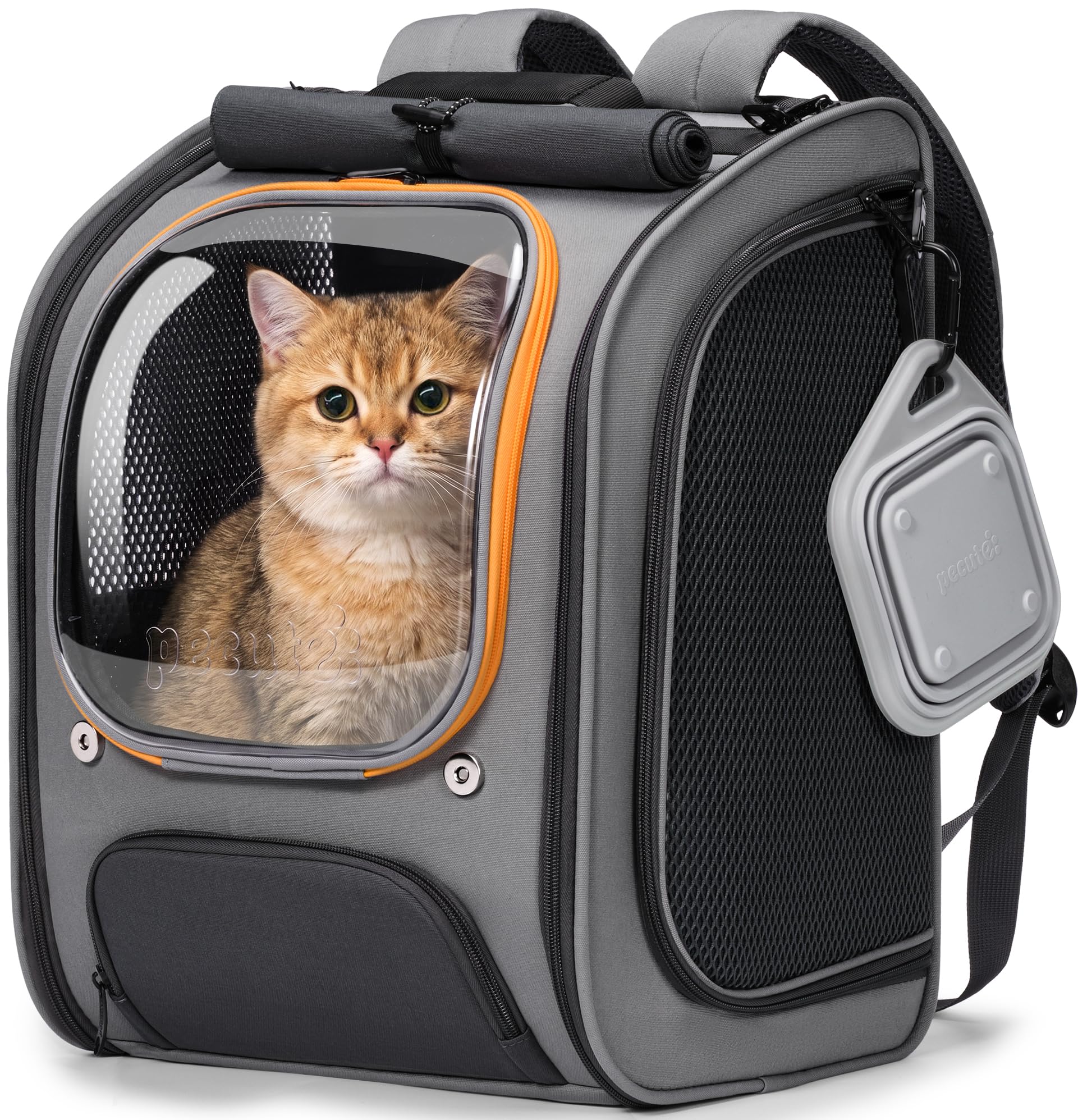 pecute Katzenrucksack Bubble Haustier Rucksack mit Netzfenster, Tragbare und Faltbare Katzentasche, Atmungsaktive und Leichte Hundetasche für Hunde Katzen Haustiere, Grau auf Grau Kombiniert