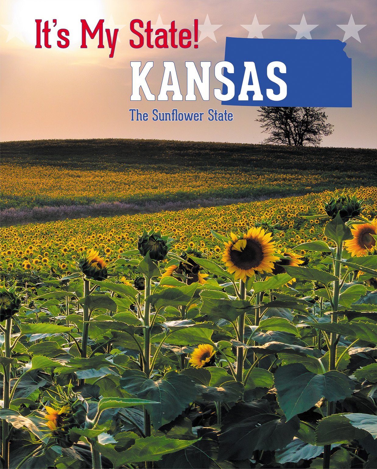 Kansas: The Sunflower State (It's My State! (Third Edition)(R))