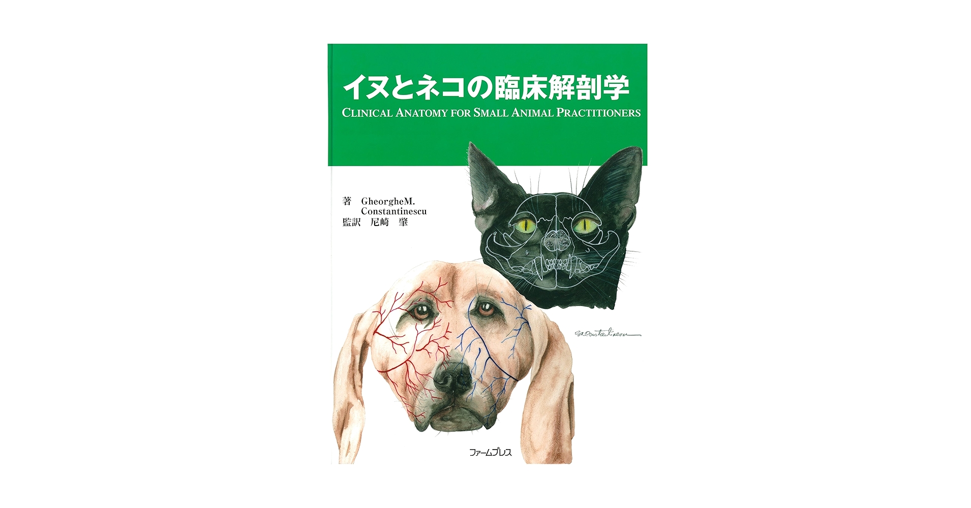 イヌとネコの臨床解剖学 | 尼崎 肇 |本 | 通販 | Amazon
