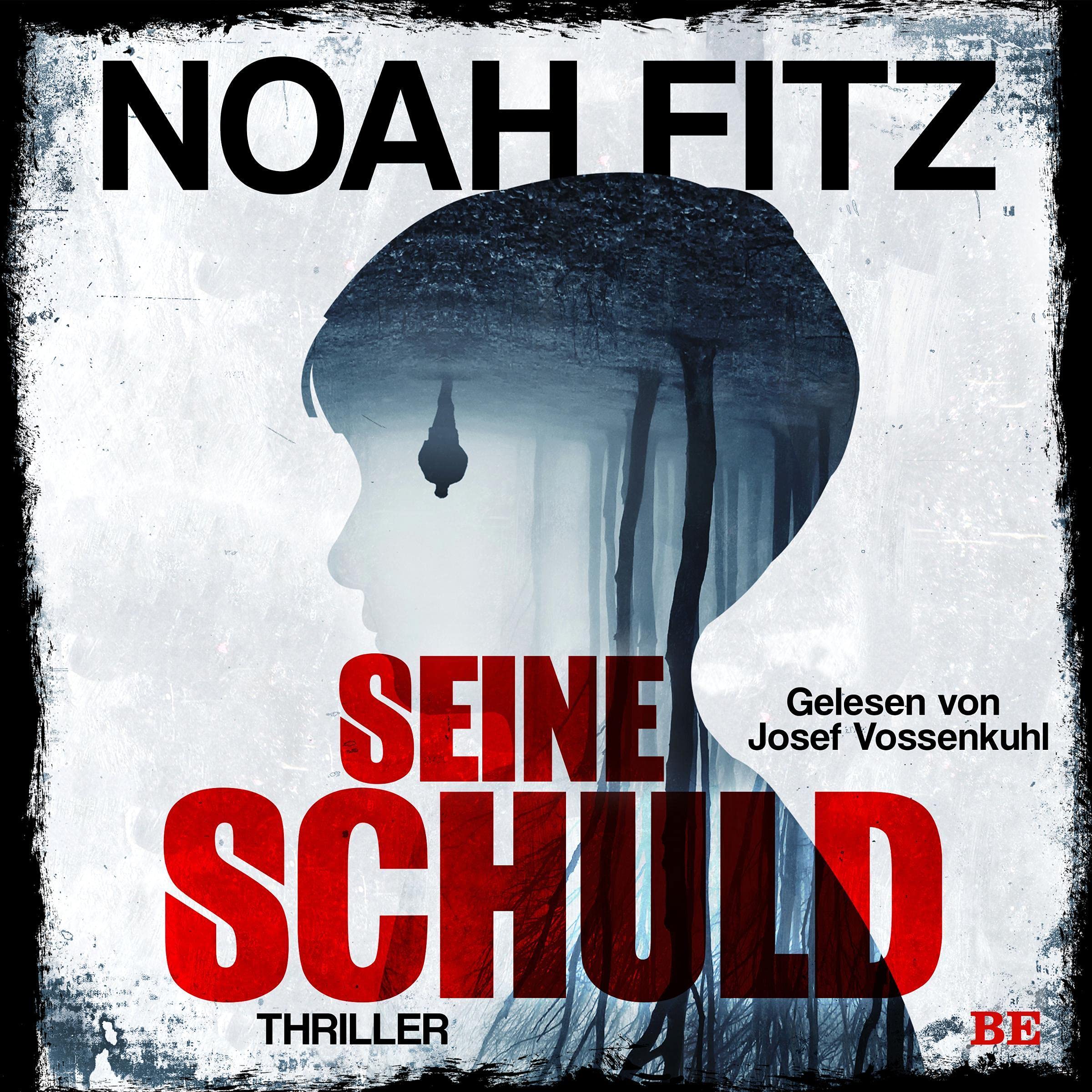 Cover art for Seine Schuld