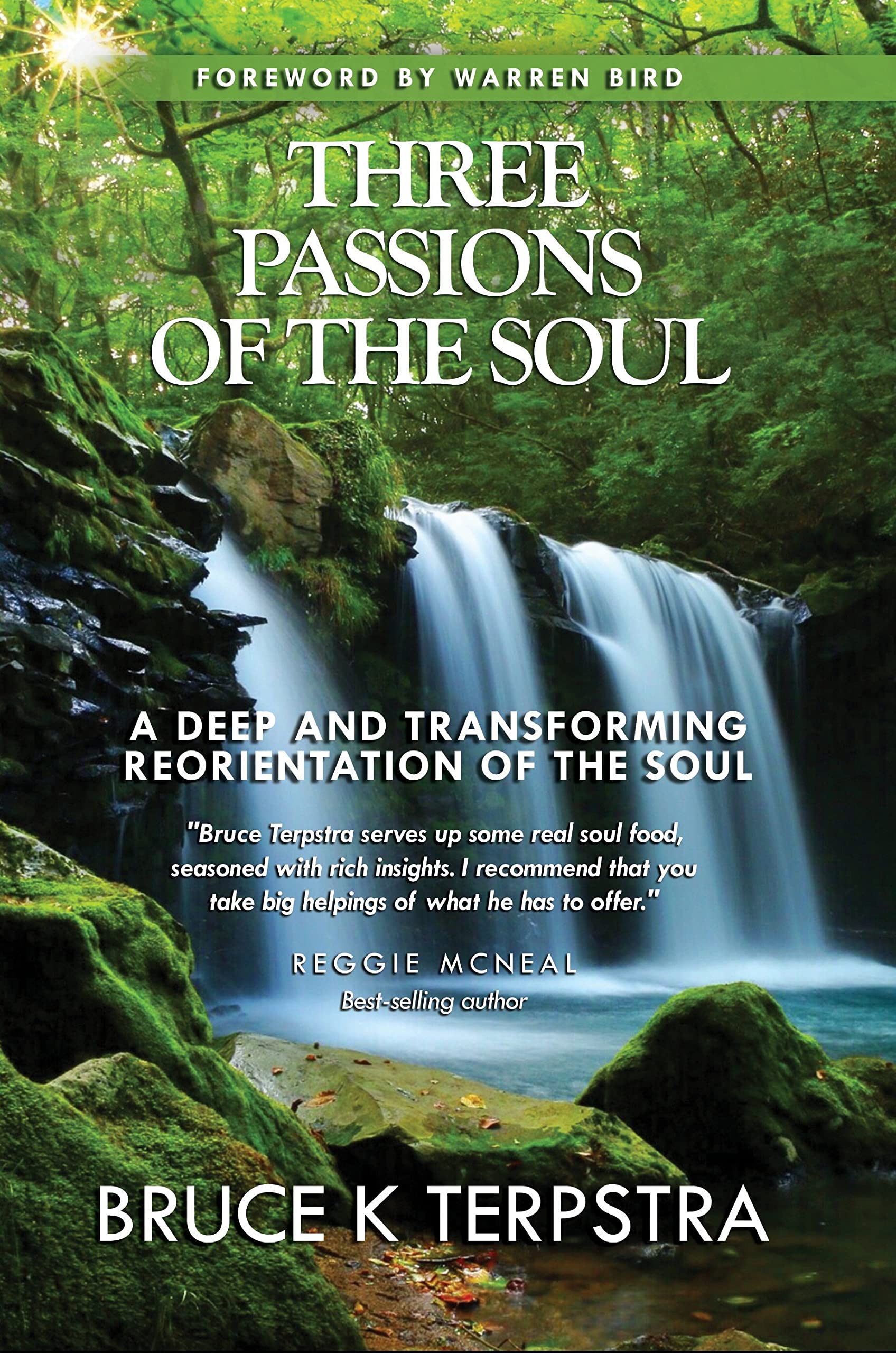 Three Passions of the Soul: A Deep and Transforming Reorientation of the Soul