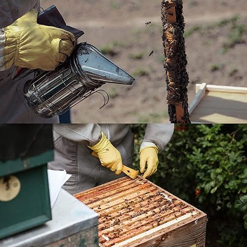 Miniatura 5 de Honey Lake Suministros de apicultura Kit de iniciación para ahumadores de abejas, 16 piezas, kit de iniciación de mantenimiento de abejas, todo para