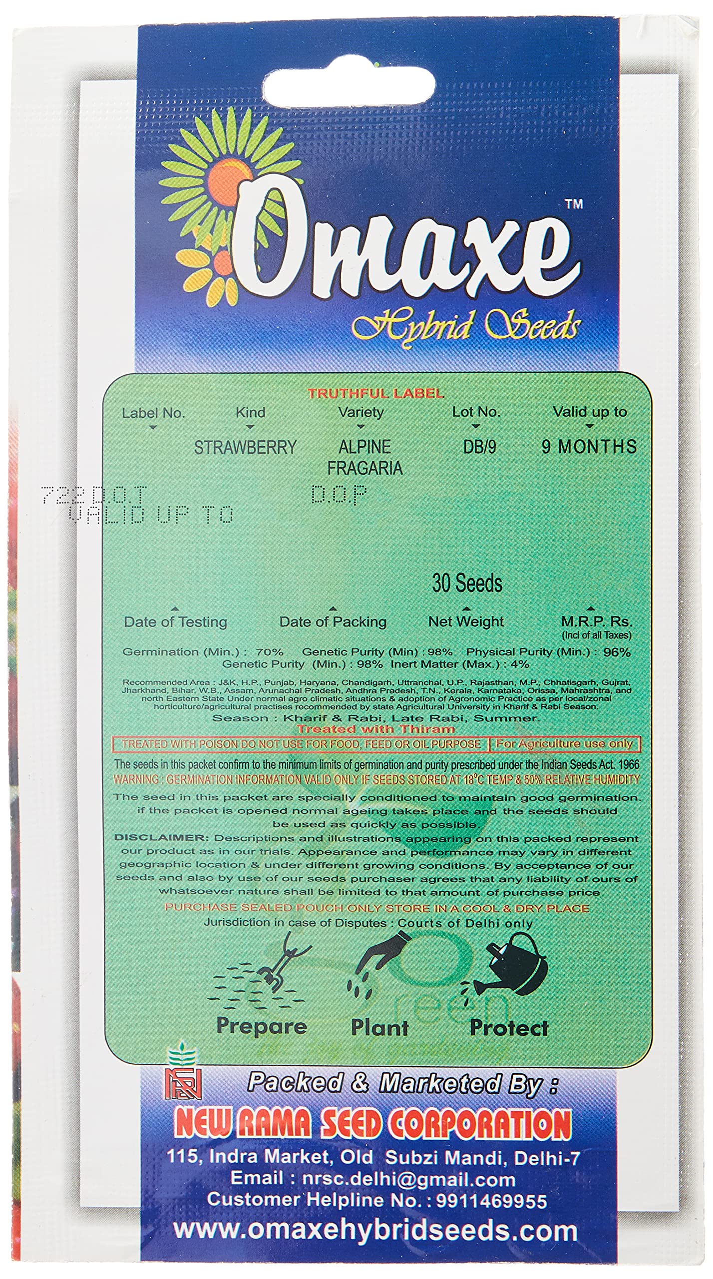 Raunak Seeds Omaxe Strawberry Alpine Fragaria Variety (Avg 30-50 Seeds) - Image 2 thumbnail