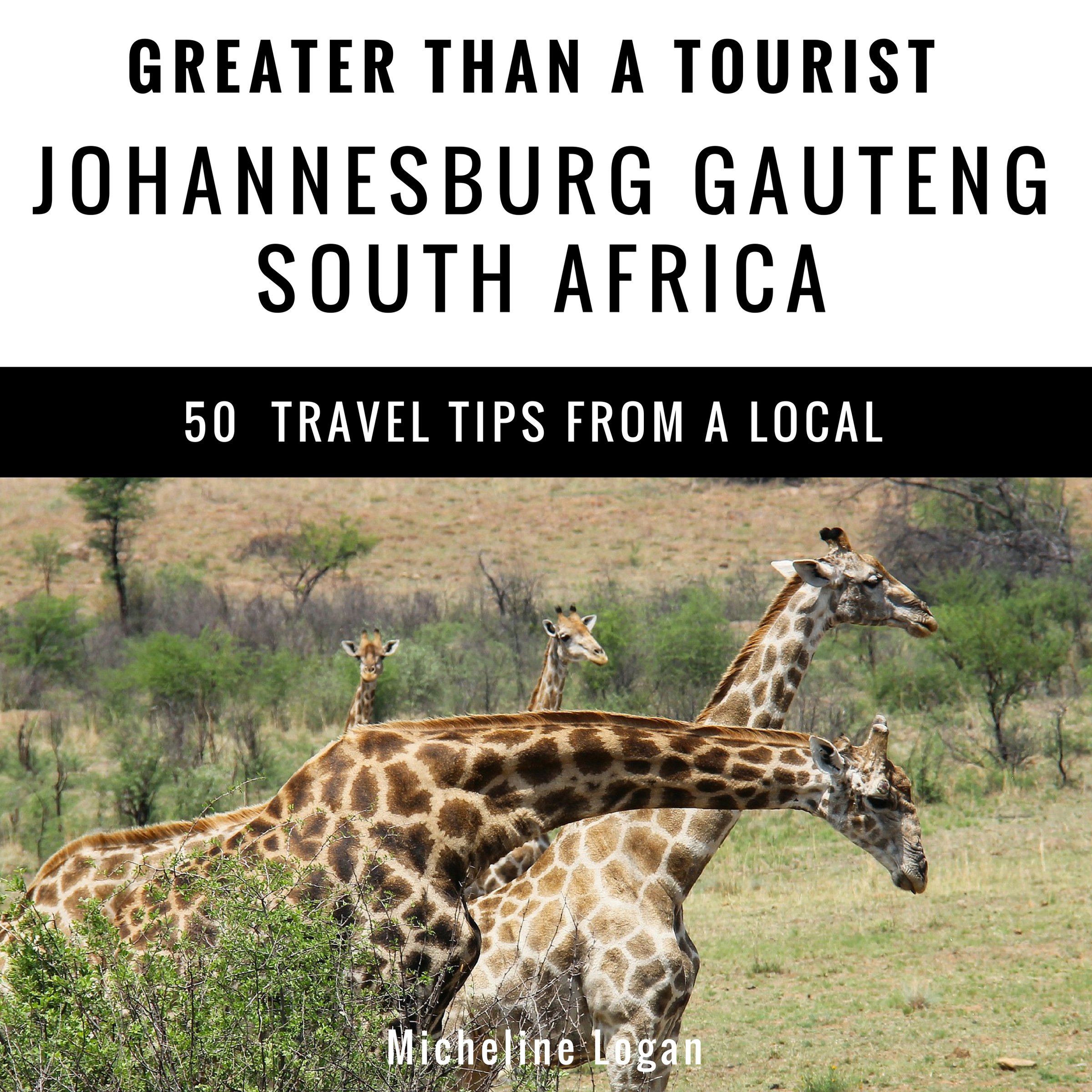 Greater Than a Tourist: Johannesburg, Gauteng, South Africa