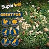 Superpet Monkey Nuts, Peanuts for Wild Birds, Squirrel Food, Natural Bird Peanuts in Shells for Crows, Jays, Magpies & Garden Wildlife, High-Energy Foraging Alternative to Bird Seed, 0.25kg