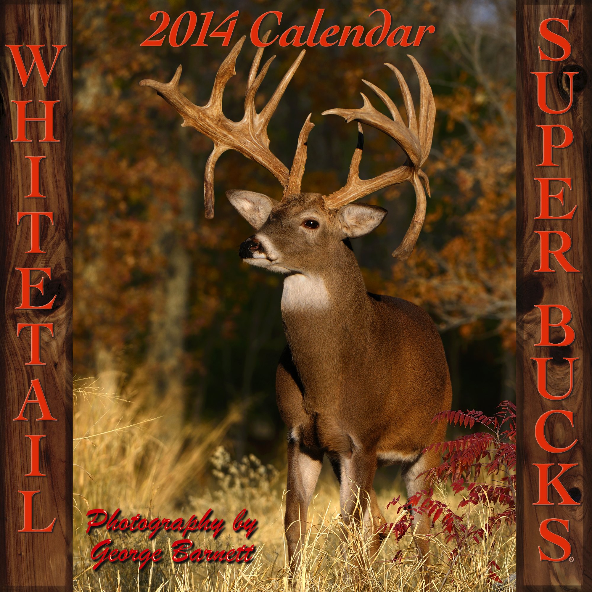 Whitetail Super Bucks 2014 Calendar