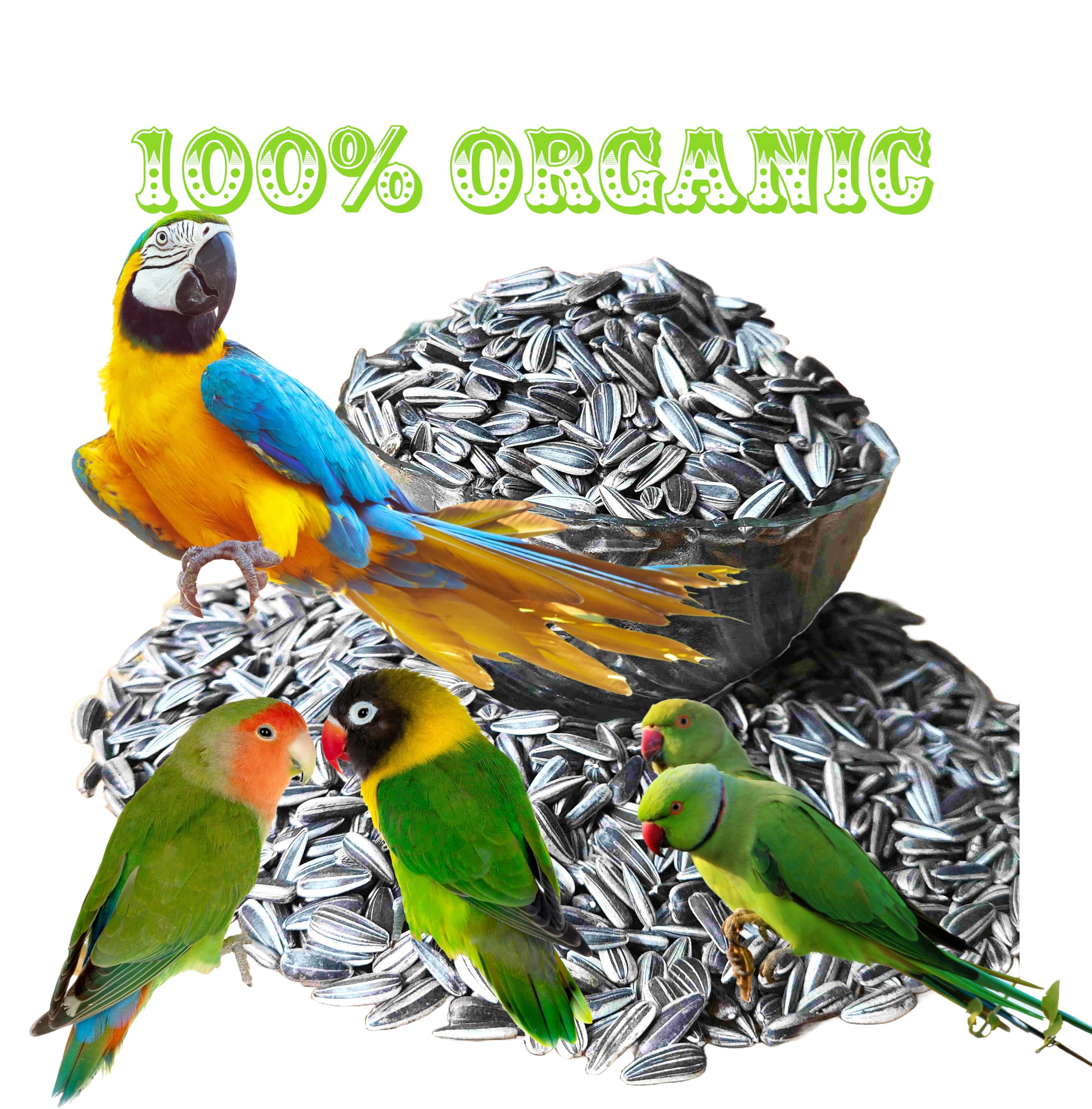 Pradip Bird Food Natural and Organic Sunflower Seed, Bird Food for Conures, Lovebirds, Cockatiels, African Grey, Macaws, Cockatoo, Parakeets & Parrots, 450GM (B0D25KRJWD) Amazon Price History, Amazon Price Tracker