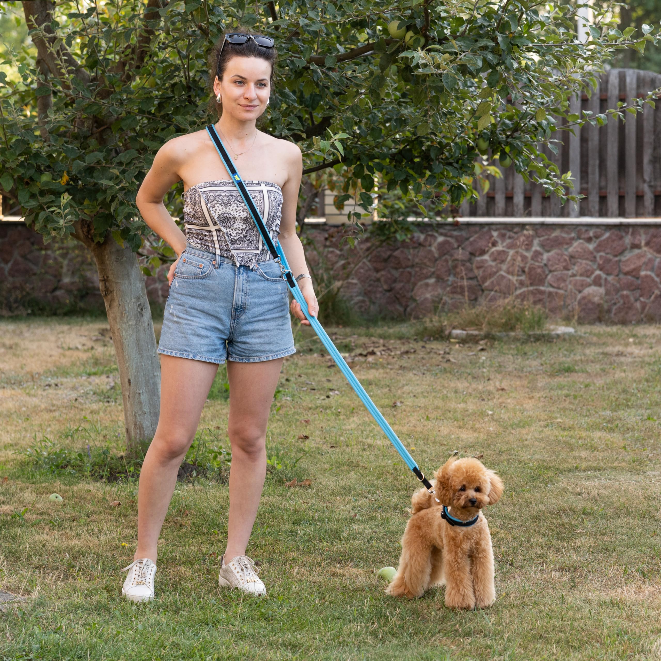 Ferplast ERGOFLUO GA Training Dog Lead, 3 Adjustable Lengths, Soft Padded Handle, Anti-Abrasion, Italian Design, 200 x 1.5 cm - Image 2