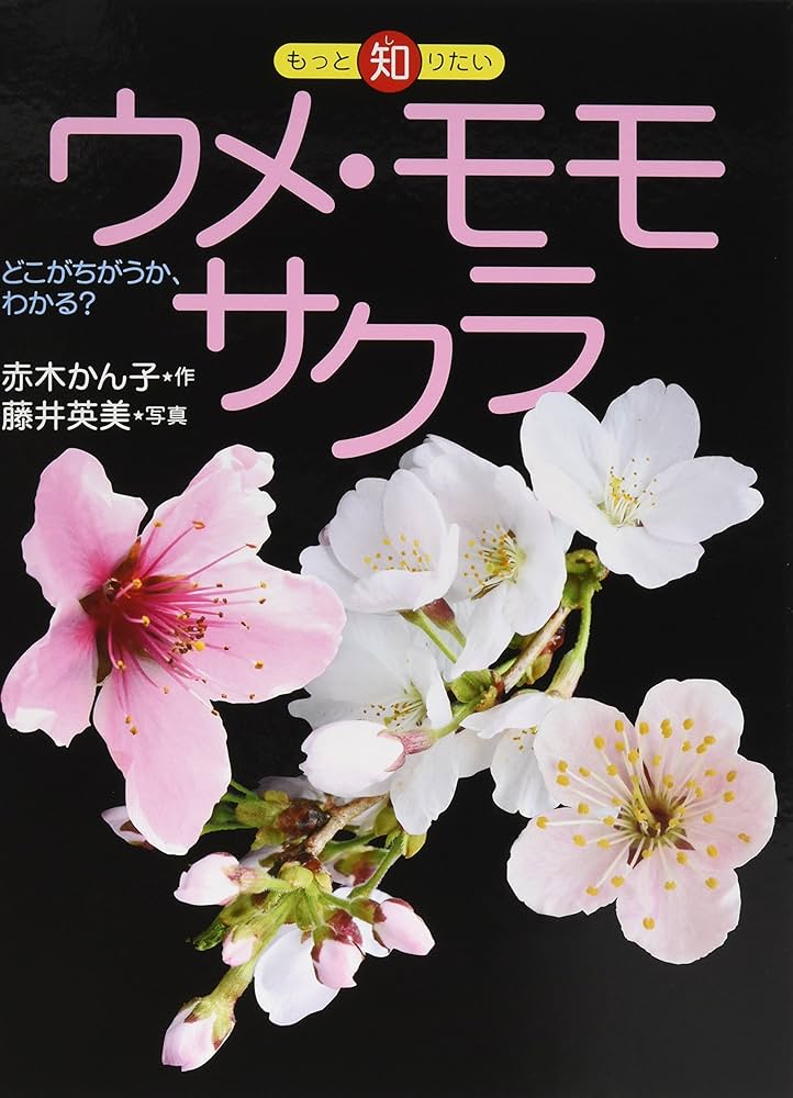 うめもとまさる Amazon.co.jp: マインドアサシン 静かなる暗殺者 (SHUEISHA JUMP