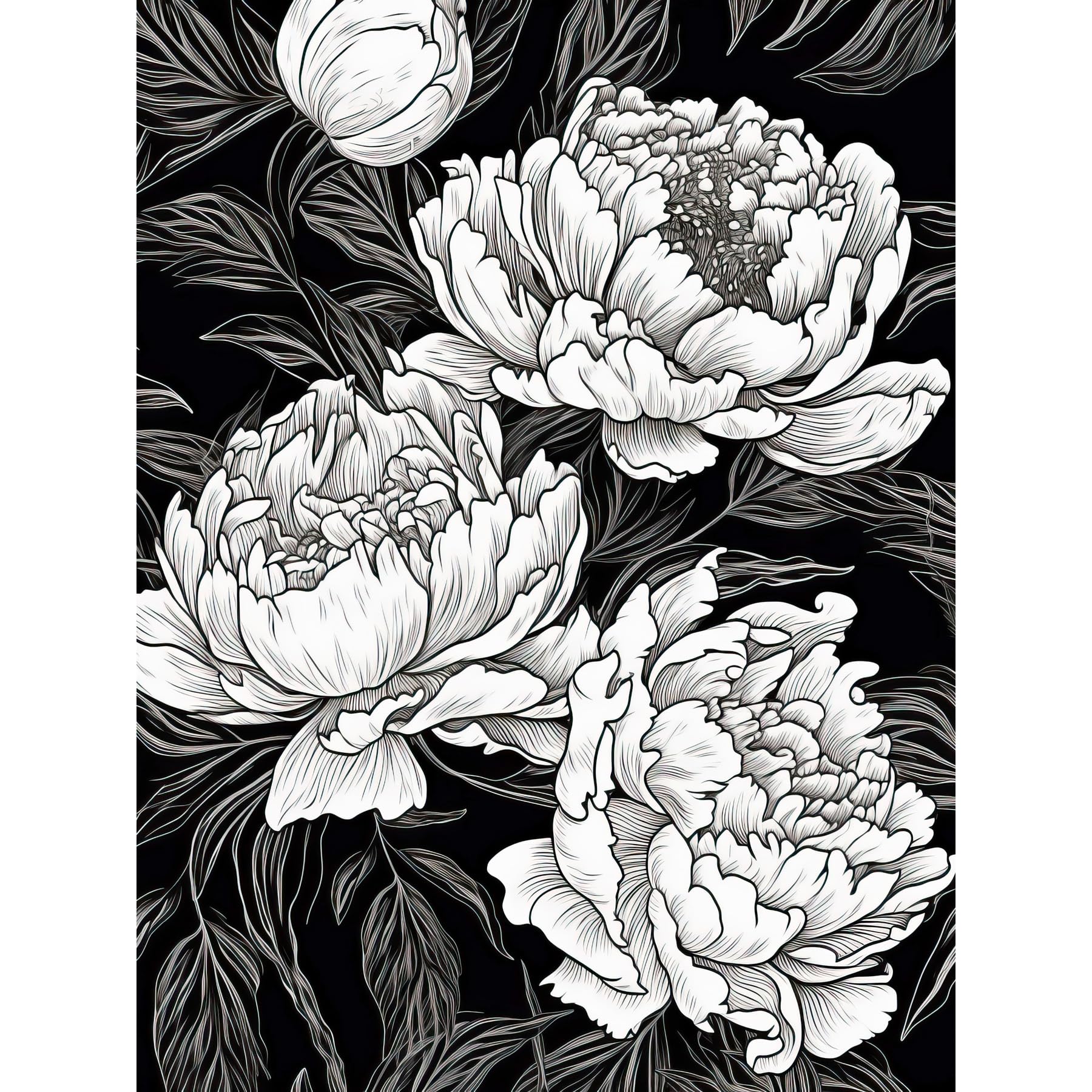 Artery8 Peony Flower Blooms White on Black Illustration Large Wall Art Poster Print Thick Paper 18X24 Inch