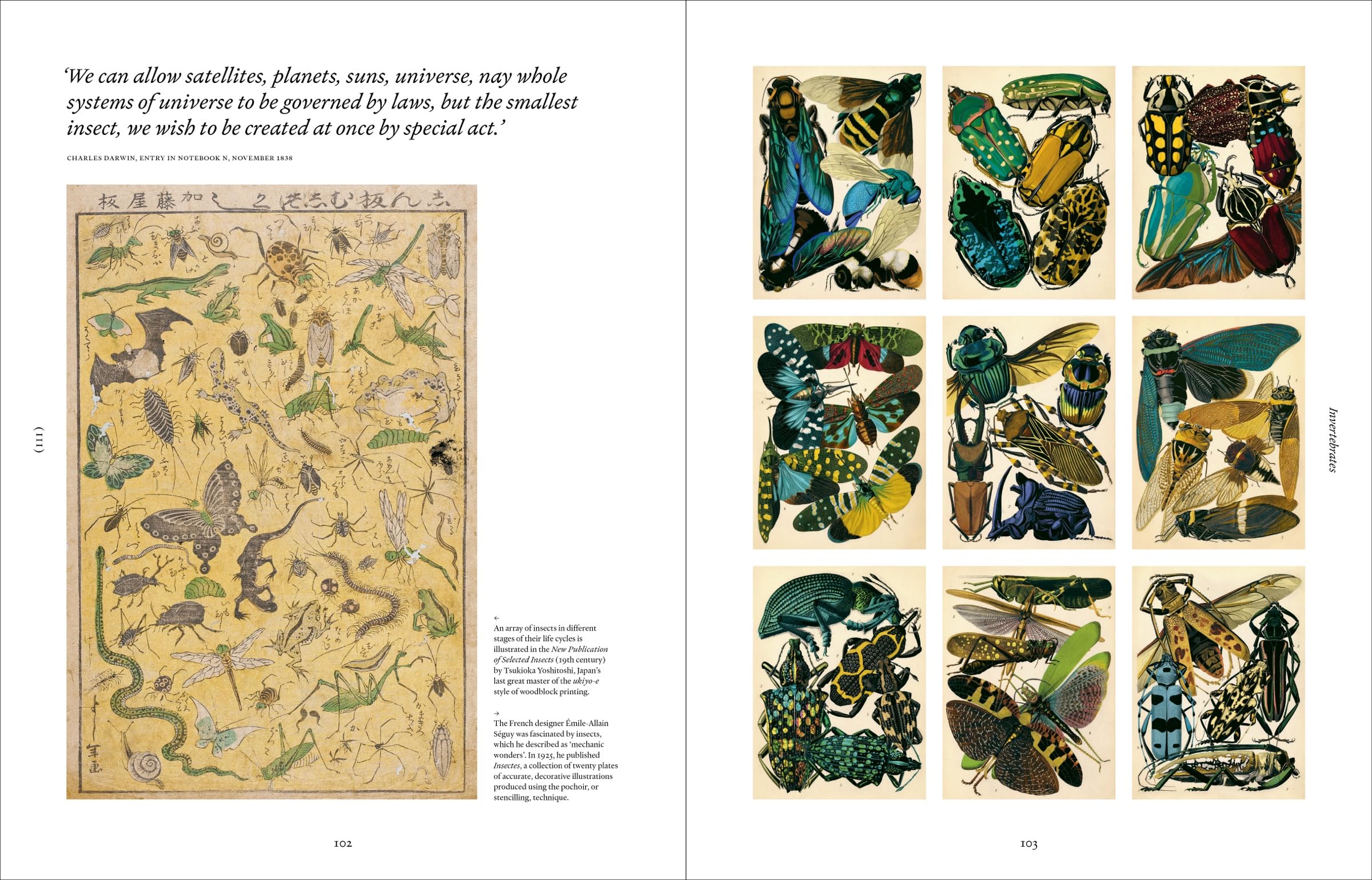 Ark: A visual treasury of Earth's living wonders