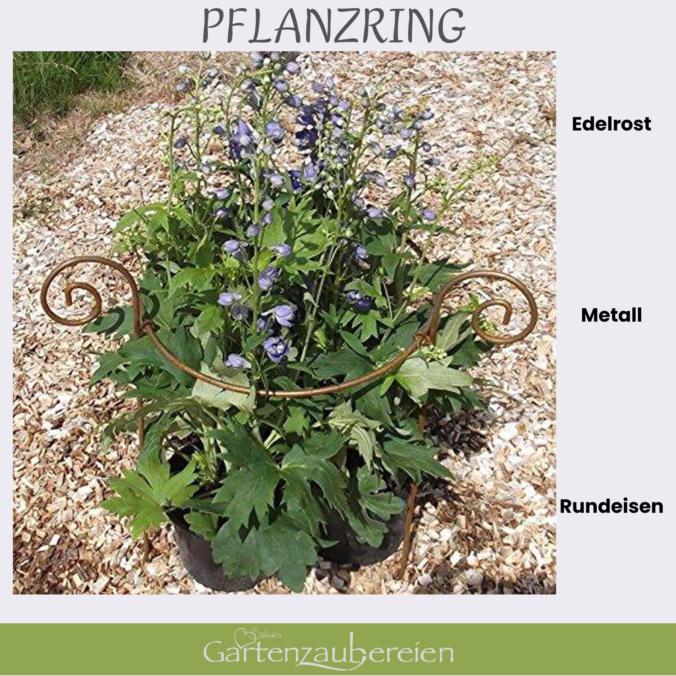 Staudenhalter - Rankhilfe rund 40cm massiv in Volleisen 8mm für Hortensien - Rosen, Gartendeko Pflanzenstütze