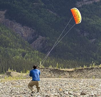 Prism Kite Technology Synapse 140 Dual-line Parafoil Kite - an Ideal Entry Level Kite for Kids and Adults to Dual-line Kiting, Cilantro
