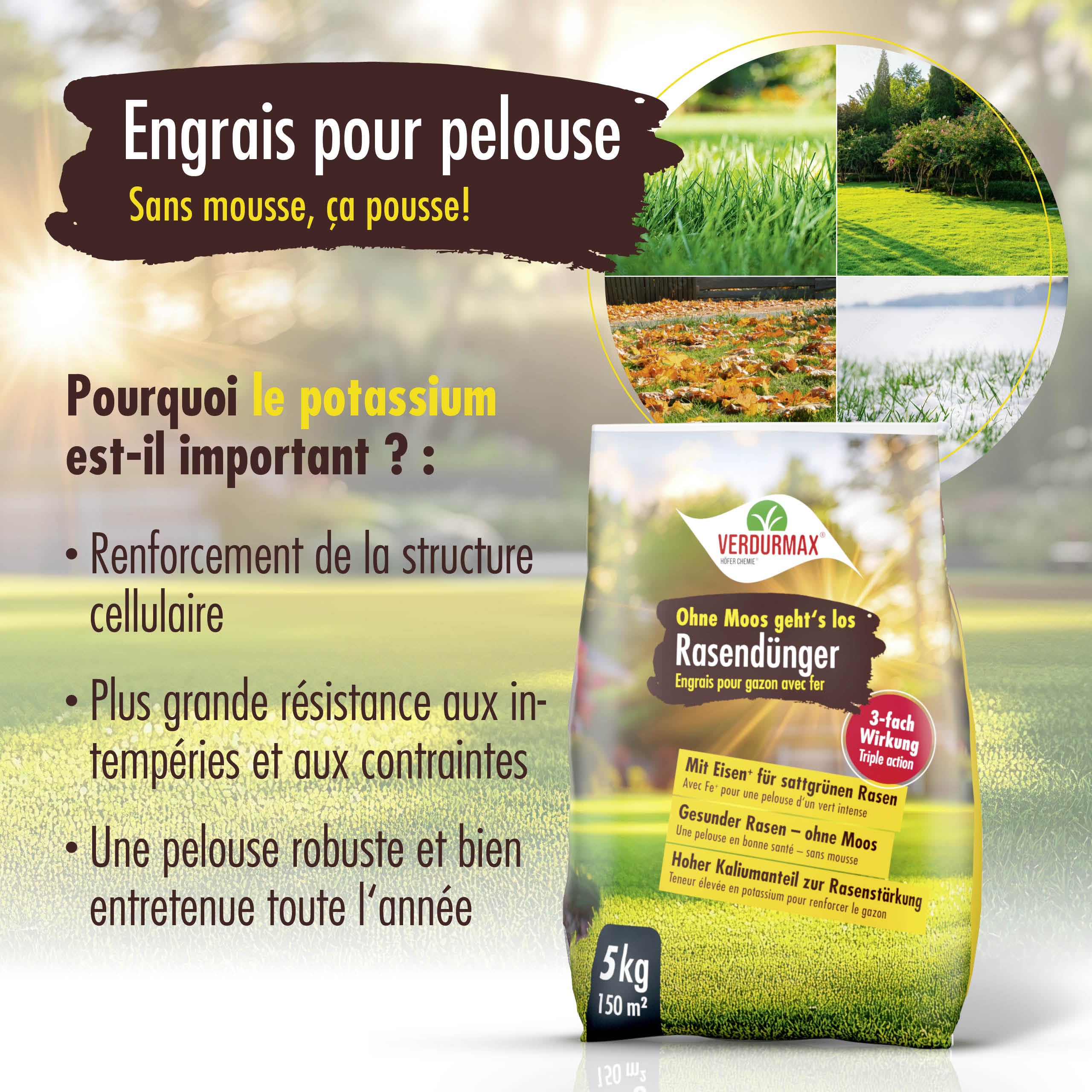 VERDURMAX Engrais Pelouse au Fer 1 x 5 kg – Action Anti-Mousse Rapide & Revitalisante – Gazon Vert Profond et Robuste – Riche en Azote, Potassium et 9% de Fer – pour 165 m² environ