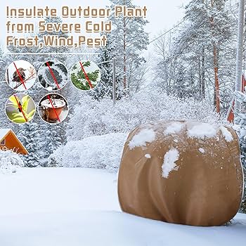 Best Frost Blankets for Plants Florida: Ultimate Protection Guide 2 Best Frost Blankets for Plants Florida: Ultimate Protection Guide