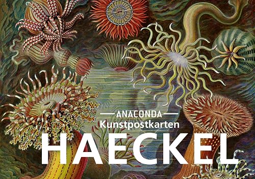 Postkarten-Set Ernst Haeckel: 18 Kunstpostkarten aus hochwertigem Karton. ca. 0,28€ pro Karte (Anaconda Postkarten, Band 30)