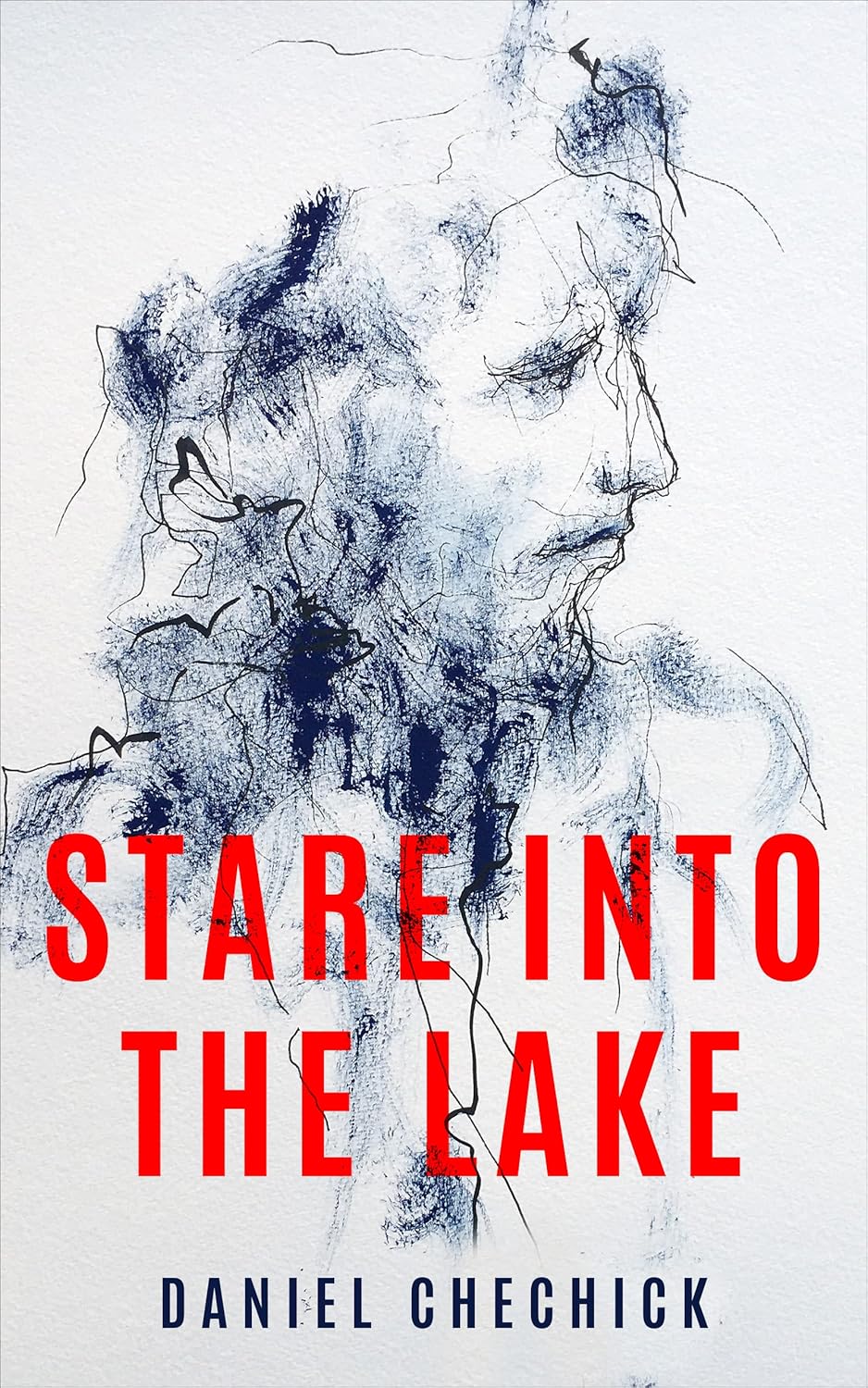 Stare Into The lake      Kindle Edition